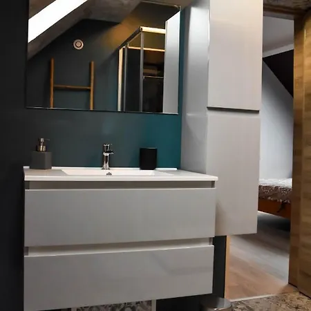 펜션 Pairi Daiza A 15 Minutes ! Les 3 Fontaines, Entre Mons Et Tournai, Ath , Saint Ghislain Beloeil